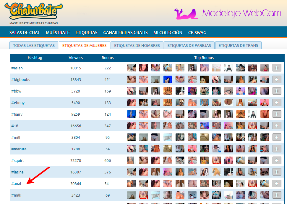 Buscador de etiquetas en Chaturbate