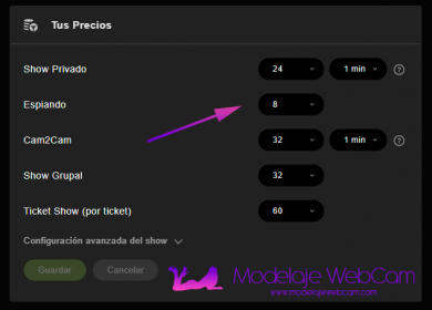 ¿Cómo pasar a show privado en Stripchat? - Modelaje WebCam