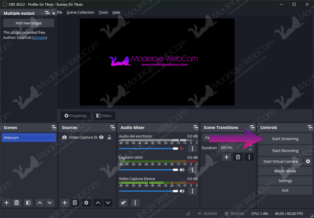 Start broadcasting on OBS