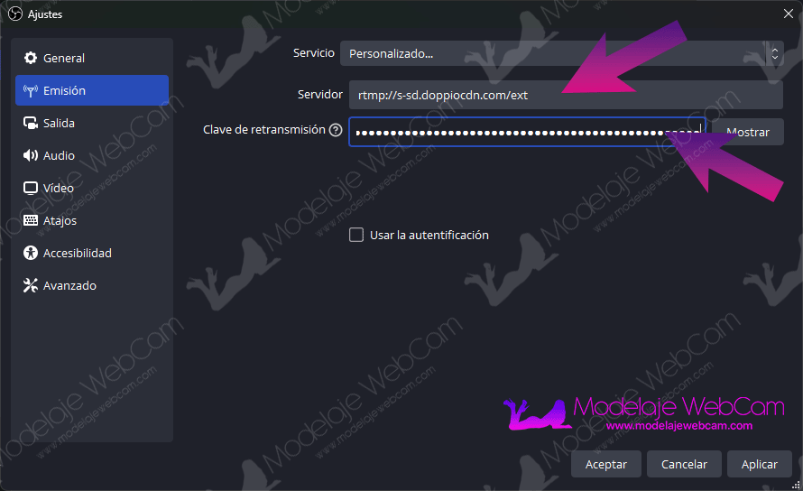 Colocar RTMP y clave de emisión o token en OBS para transmitir en Stripchat