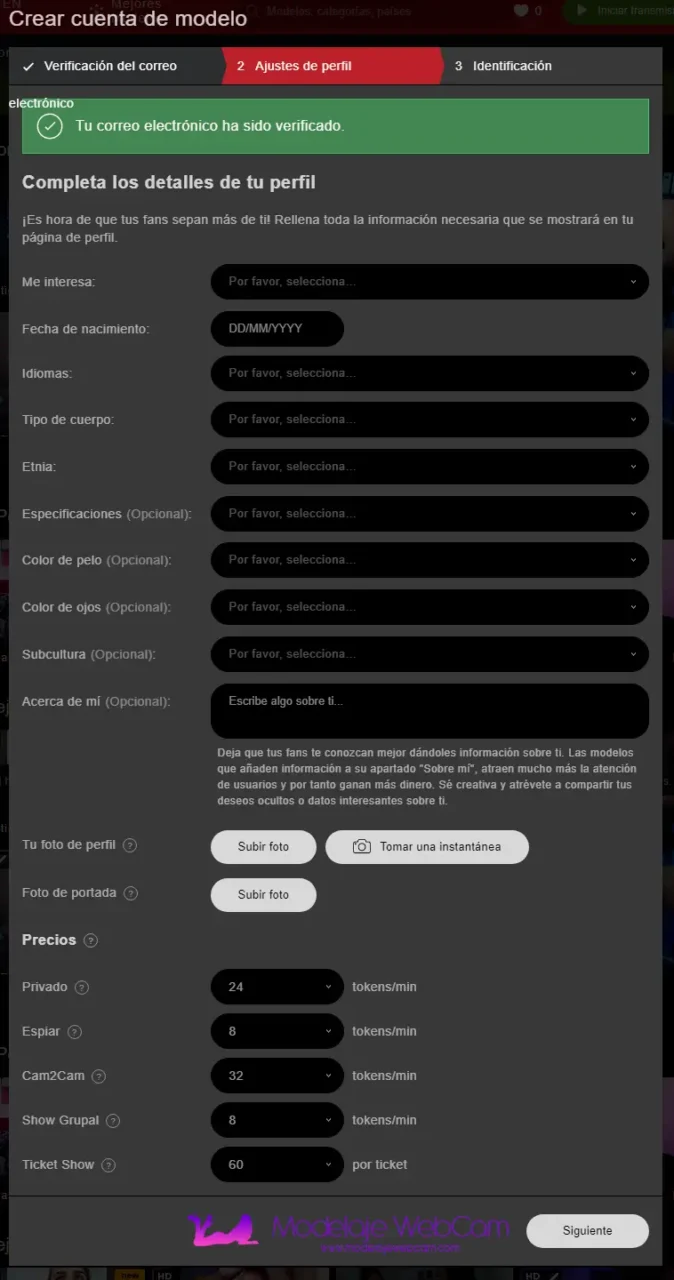 Completa los detalles de tu perfil en Stripchat