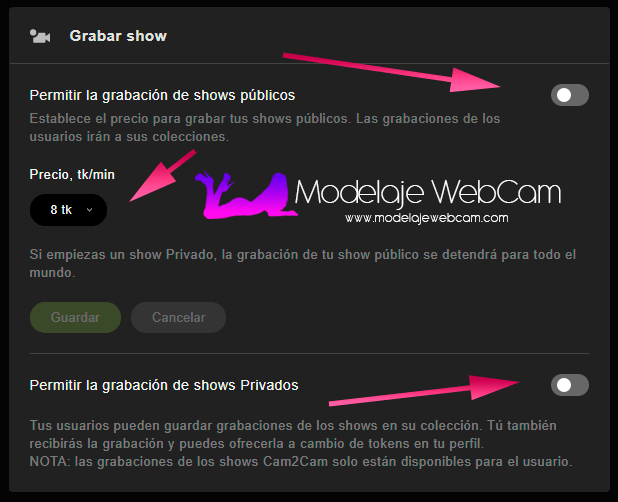 ¿Cómo activar o desactivar la grabación de shows públicos en Stripchat?