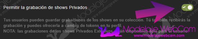 Grabación de show privado en Stripchat