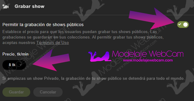 Grabación de show público en Stripchat