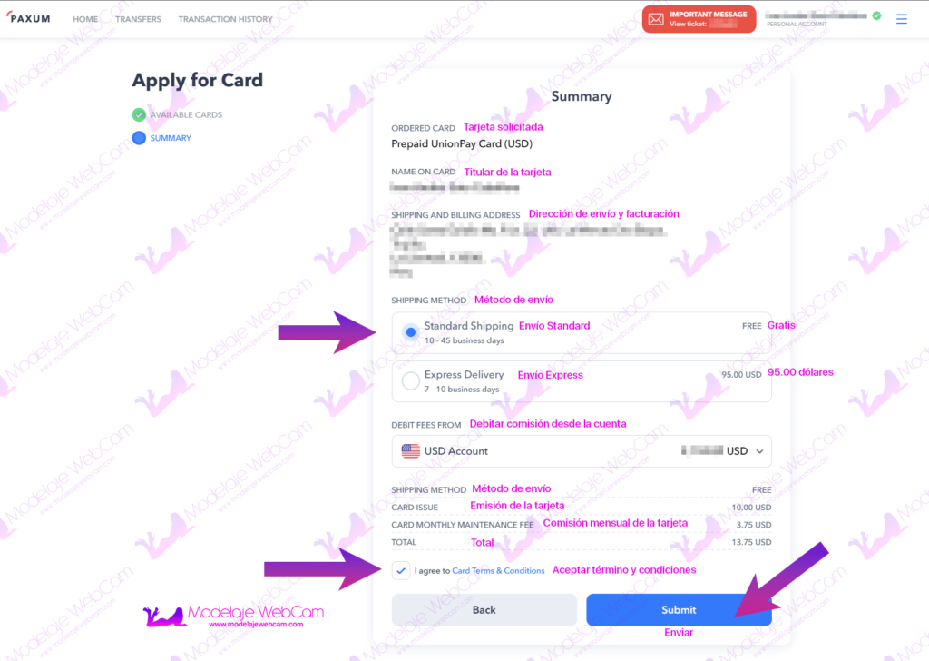 Resumen de solicitud de tarjeta prepago Paxum UnionPay