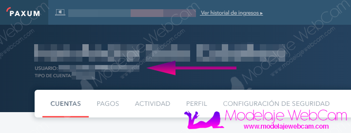Cuá es mi ID o usuario de Paxum para recibir mis pagos