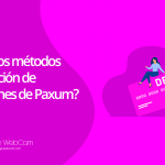 Qué son los métodos de aprobación de transacciones de Paxum