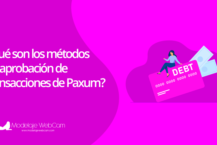 Qué son los métodos de aprobación de transacciones de Paxum