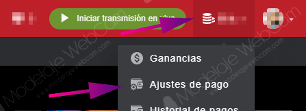 Ajustes de pagos en Stripchat