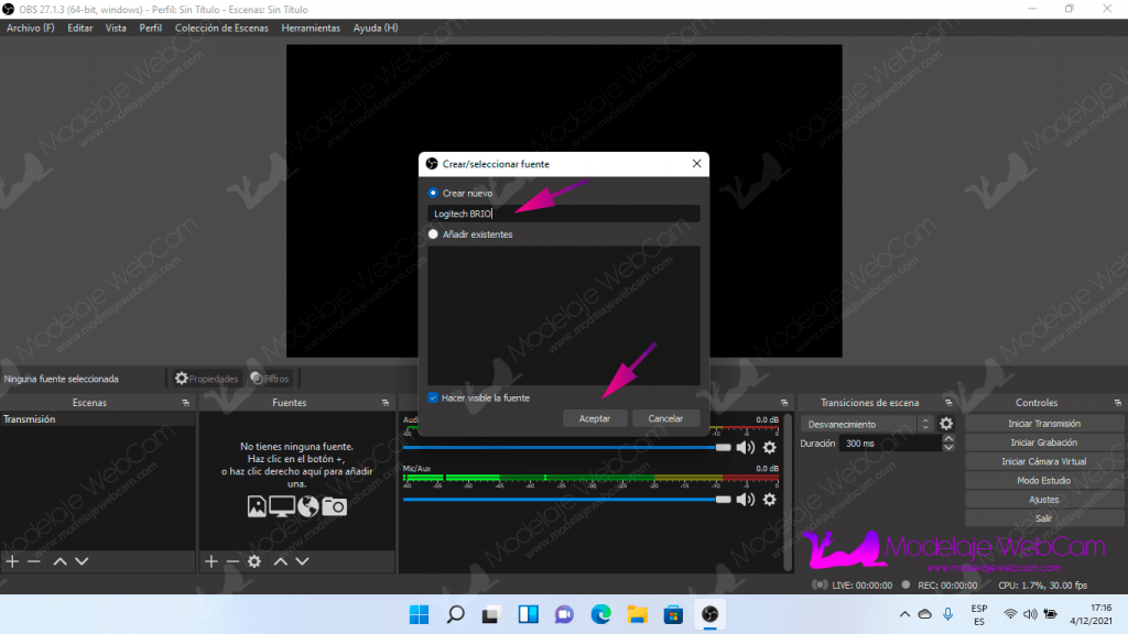 OBS - Agregar nombre a la entrada de captura de video