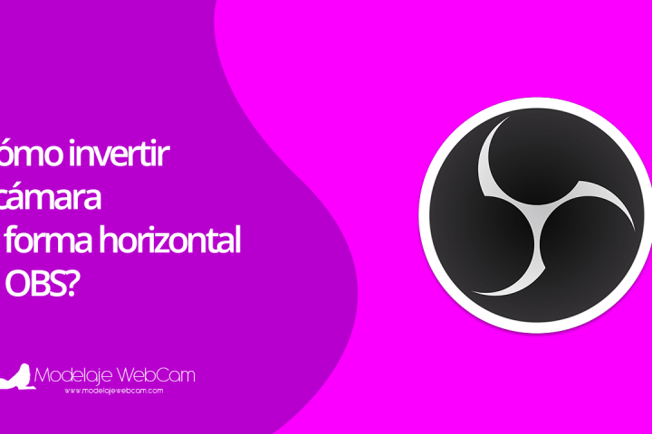 Cómo invertir la cámara de forma horizontal en OBS