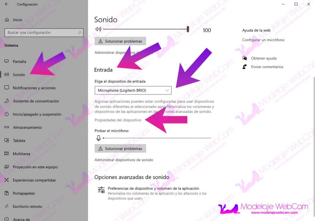 Windows 10 - Propiedades del dispositivo de entrada