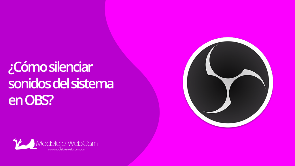 Silenciar sonidos del sistema o equipo en OBS
