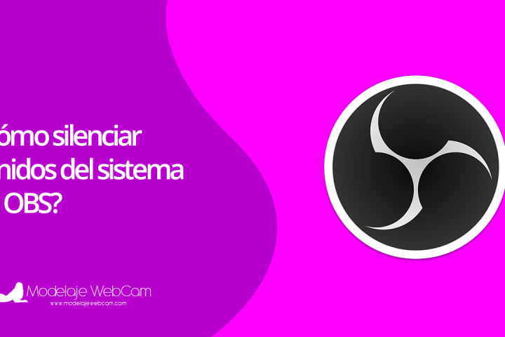 Silenciar sonidos del sistema o equipo en OBS