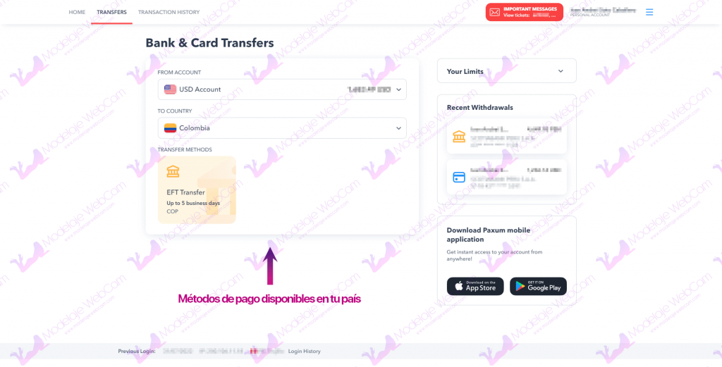 Transferencias en Paxum 2022