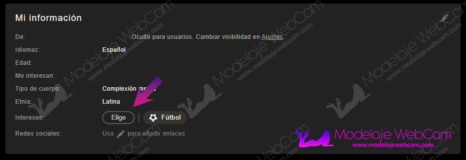 Elegir intereses en Stripchat