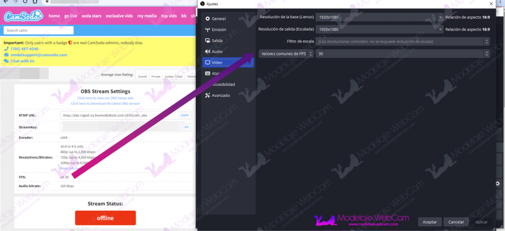 Configurar CamSoda con OBS - FPS
