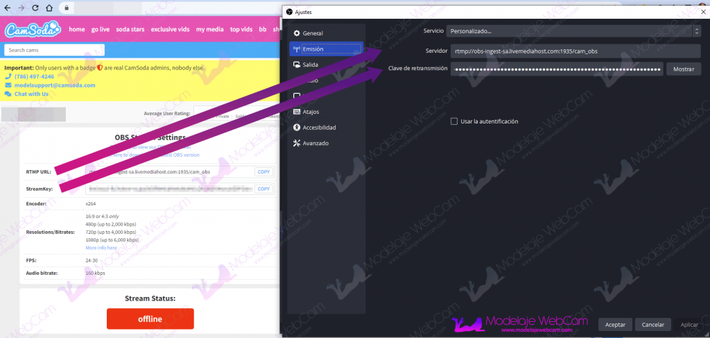Configurar CamSoda con OBS - Servidor RTMP y clave