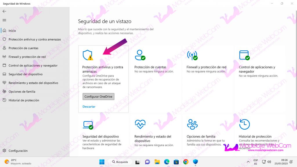 Windows 11 - Página principal de la seguridad de Windows
