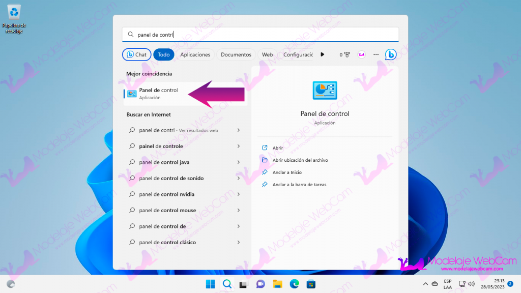 Windows 11 - Panel de Control