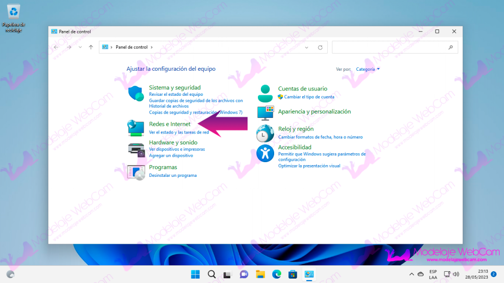 Windows 11 - Redes e Internet