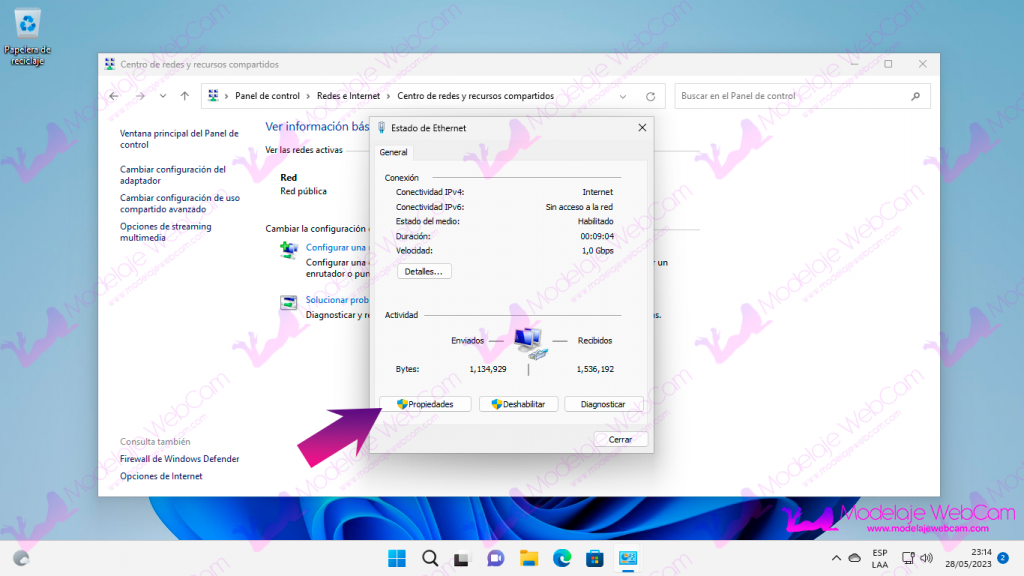 Windows 11 - Propiedades de red en ventana clásica