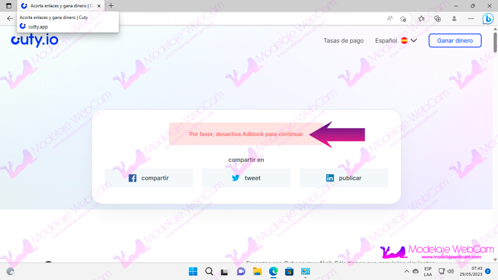 Pagina con detector de bloqueo de anuncios