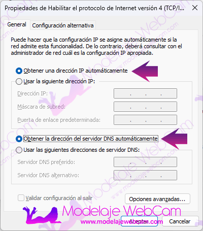 Configurar IP y DNS en Windows 11