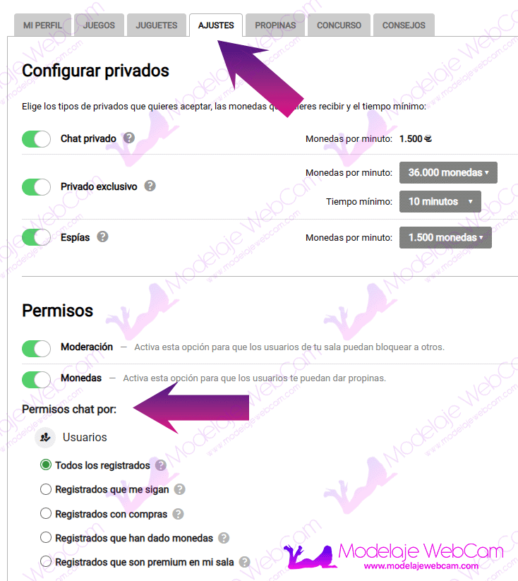 Permisos en chat de Amateur.tv