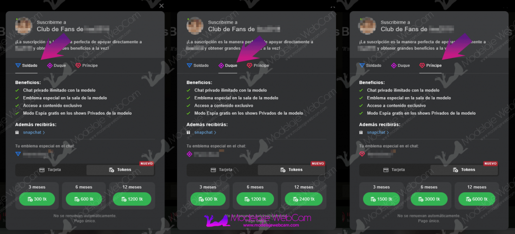 Pagar club de fans con tokens en Stripchat