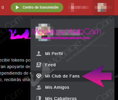 Mi club de fans en Stripchat