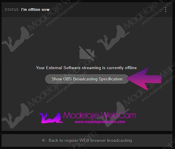 Stripchat - Show OBS broadcasting specification