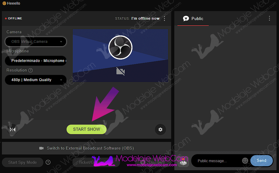Stripchat - Start show from web browser