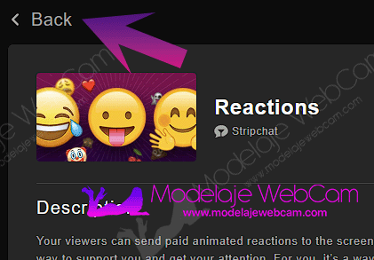 Stripchat - Reacciones y el botón atrás