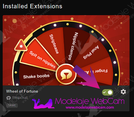 Cómo activar
la ruleta de la fortuna
en Stripchat