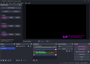 How to stream to multiple platforms simultaneously using OBS? Step-by ...