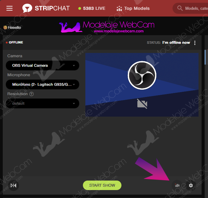Record public Stripchat shows as a model