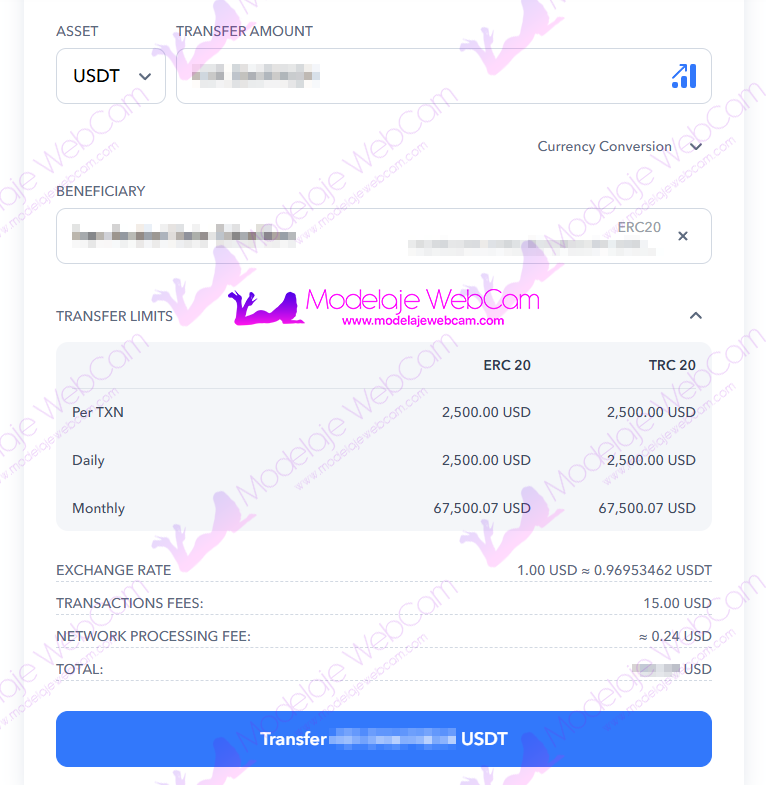 Paxum - Cryto Binance - Transfer button