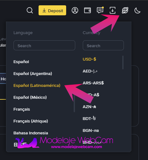 Cambiar idioma en Binance