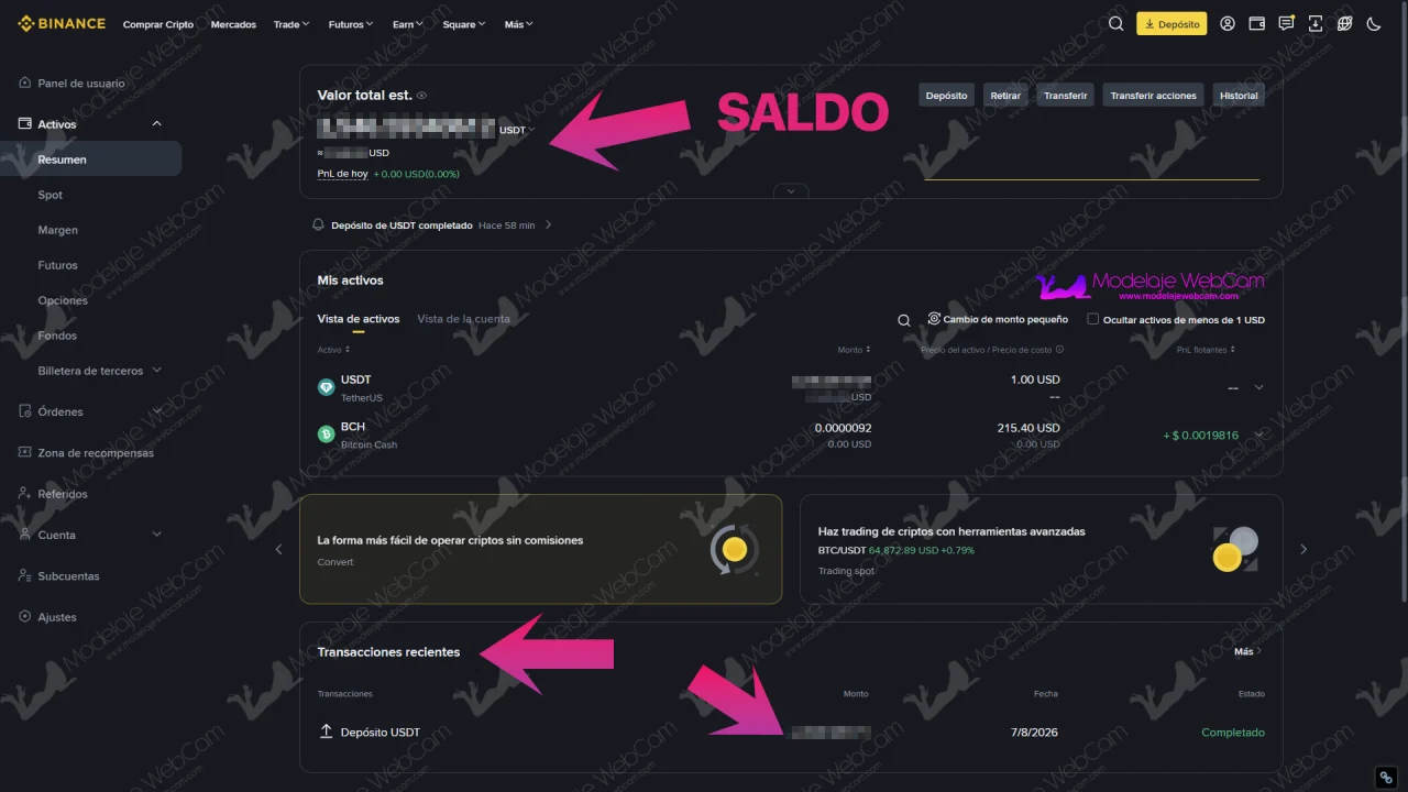 Portal de resumen de billetera en Binance