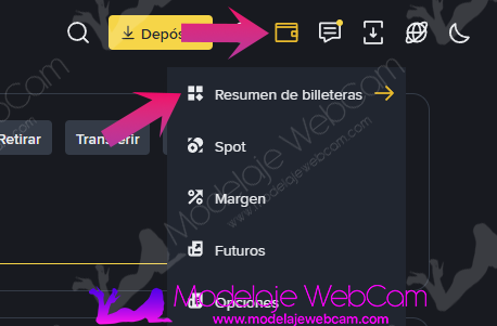 Binance - Resumen de billeteras 2026